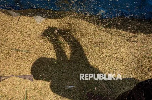 Bappenas: Indonesia Siap Menjadi Model Pembangunan Pertanian Dunia