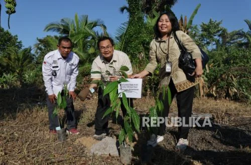 Hari Bumi 2026: Luwu Dorong Ketahanan Pangan Melalui Lanskap Terpadu
