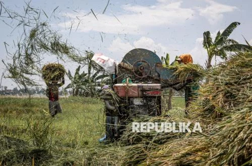 Produksi Beras Naik 23 Persen, Pemerintah Siapkan Pompanisasi El Nino