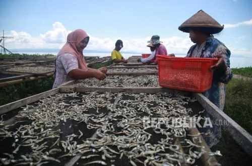 Strategi Pemerintah Cetak 5.000 Desa Ekspor Demi Kemandirian Ekonomi