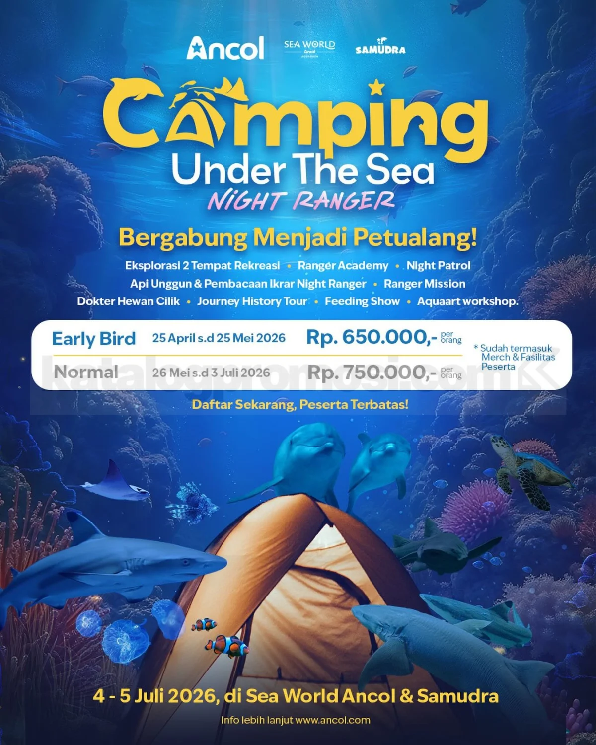 Camping Bawah Laut di Sea World Ancol: Pengalaman Unik 4-5 Juli 2026