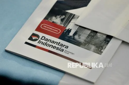 Danantara Indonesia: Skema DSI Akan Dirilis Kamis Depan