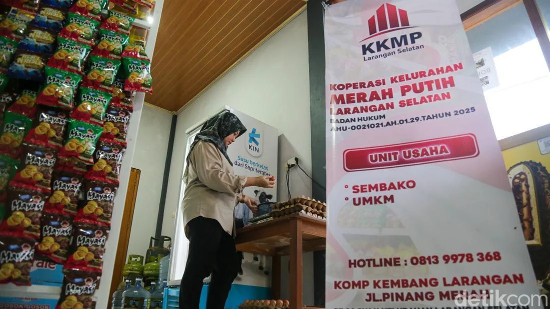 Gangguan Teknis Ujian CAT Kopdeskel, BKN Imbau Peserta Tetap Tenang