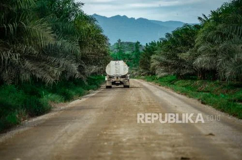 HGU Sawit Terancam, Biodiesel B50 dalam Bahaya