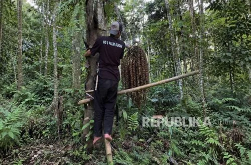 Industri F&B Berkembang, Kebutuhan Bahan Baku Stabil Meningkat