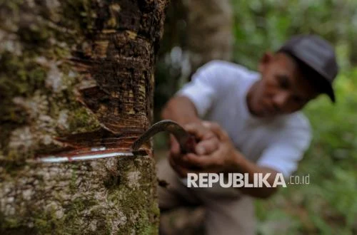 Industri Karet Nasional Perkuat Sektor Hulu untuk Pasokan Berkelanjutan