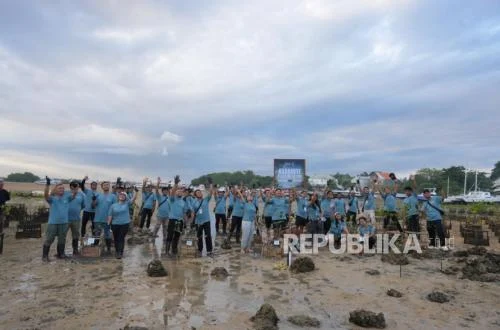 ITDC Nusantara Utilitas Tanam 250 Mangrove di Bali
