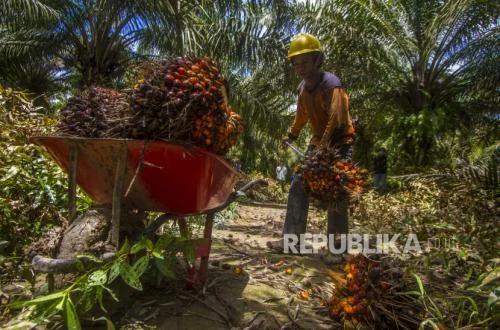 Kementan dan Industri Sawit Sepakati Pengembalian Harga TBS Petani