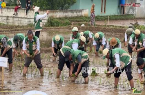 Kementan Genjot Produksi Pangan Lewat Optimasi Lahan dan CSR