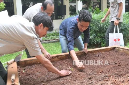 LESTARI KOTA: Perkuat Ketahanan Pangan Perkotaan dengan Urban Farming