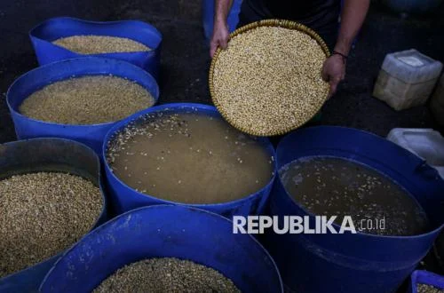 Mentan Ancaman Cabut Izin Importir Kedelai Jika Naikkan Harga Semena-mena