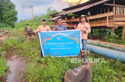 MIND ID Salurkan 1.735 Hewan Kurban, Berbagi Berkah Idul Adha
