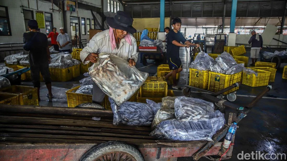 Muara Angke Ramai, KKP Targetkan 10,57 Juta Ton Ikan di 2026