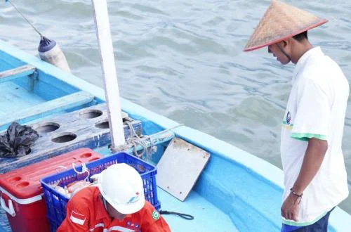 Nelayan Indramayu Mogok Laut Akibat Kenaikan Harga BBM Non-Subsidi