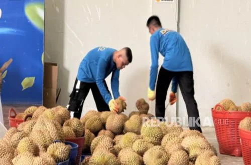 Palu Kirim 459 Ton Durian Beku ke China Senilai Rp 42,5 M