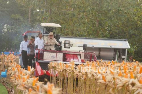 Perbukitan Garut Jadi Harapan Jagung, Petani Raih Panen Melimpah