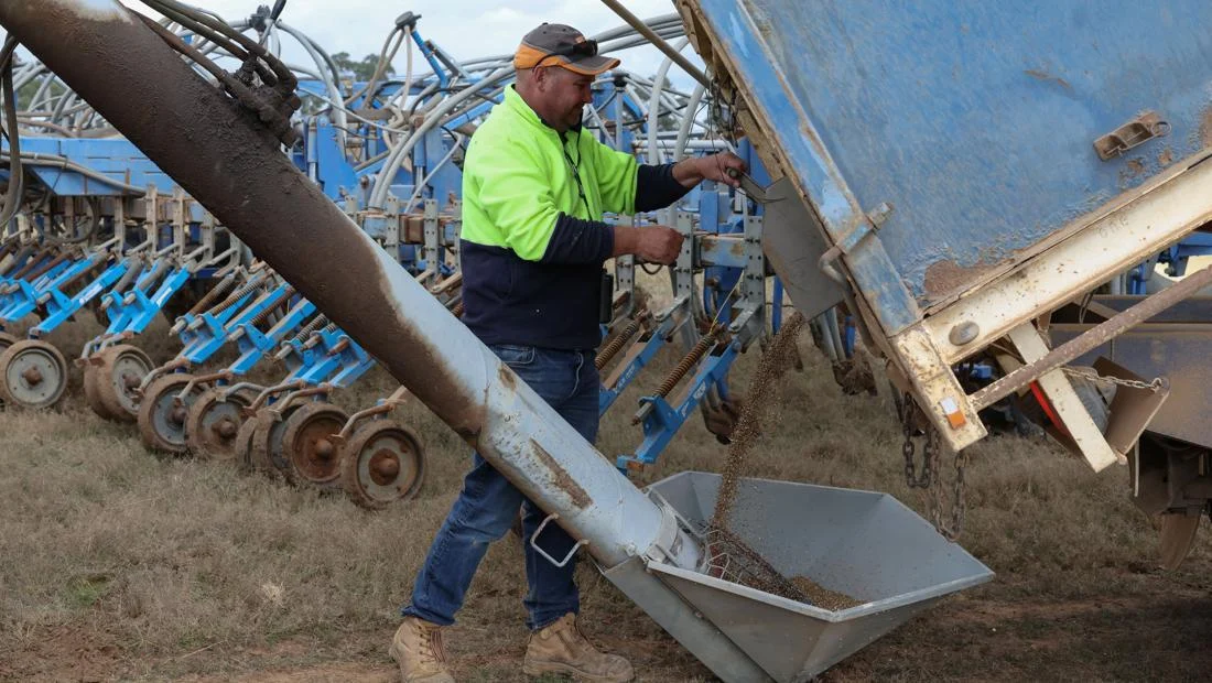 Petani Australia Pangkas Tanam Gandum Akibat Biaya Produksi Meroket