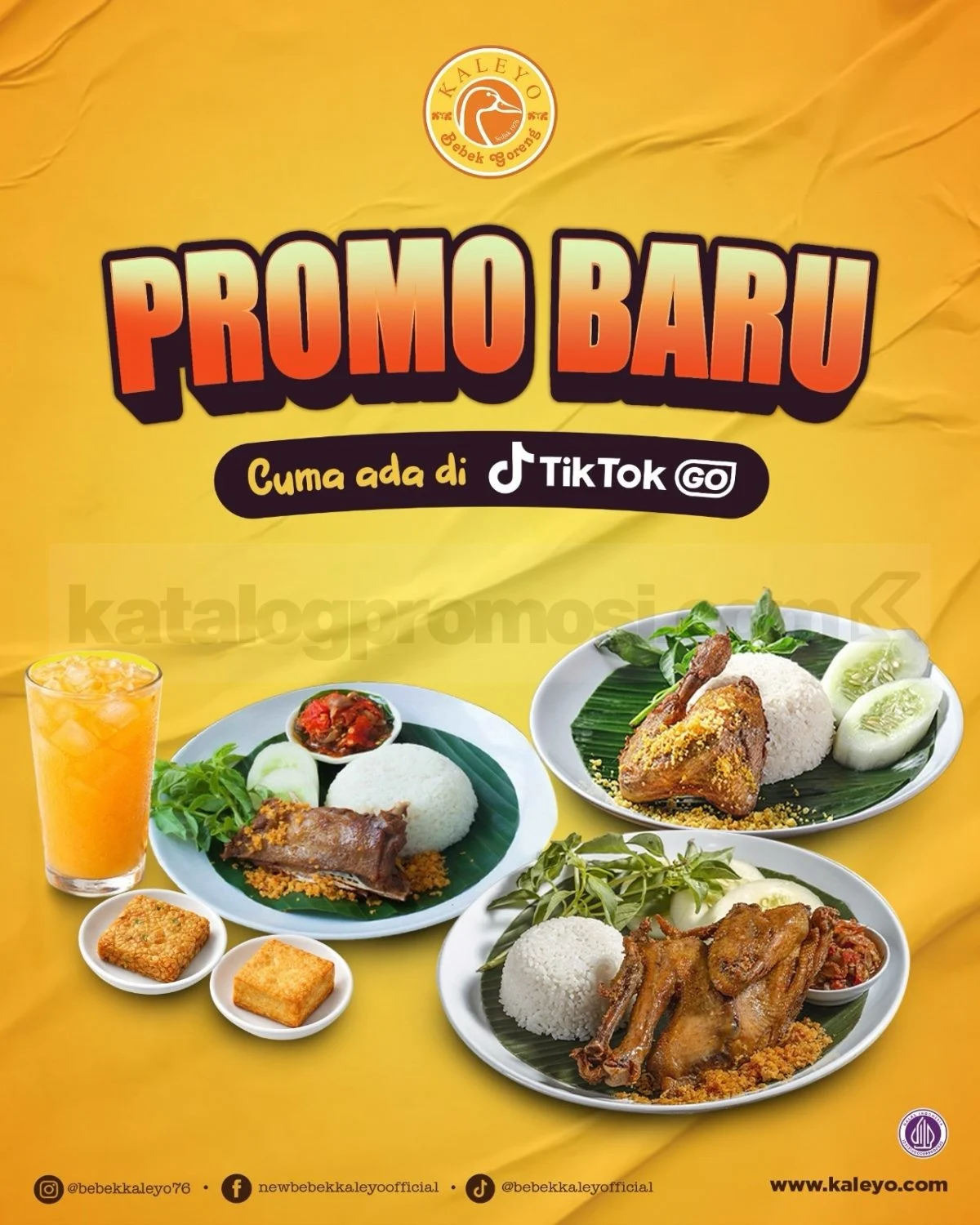 Promo Bebek Kaleyo: Paket Hemat TikTok GO Mulai 25.500!