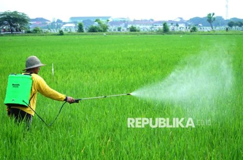 Rupiah Melemah, Harga Pupuk Nonsubsidi Meroket, Petani Tercekik