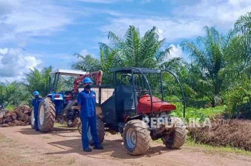 Sawit Indonesia Tingkatkan Produktivitas Lewat Teknologi Canggih