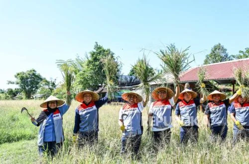 Pertamina Wujudkan Desa Energi Berdikari, Tingkatkan Kesejahteraan Petani Bali