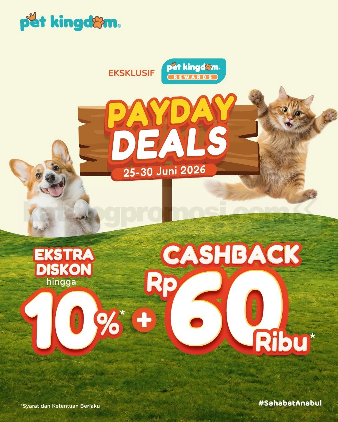 Promo Pet Kingdom Payday Deals: Hemat 10% + Cashback!