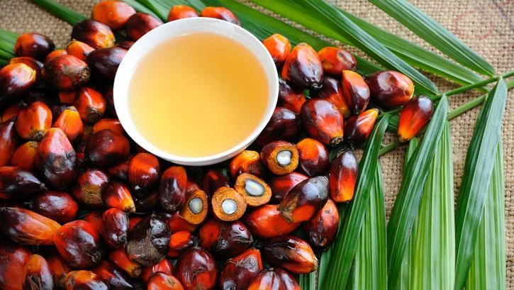 Transaksi OLEIN Melonjak di JFX, Bukti Minat Pasar Tinggi