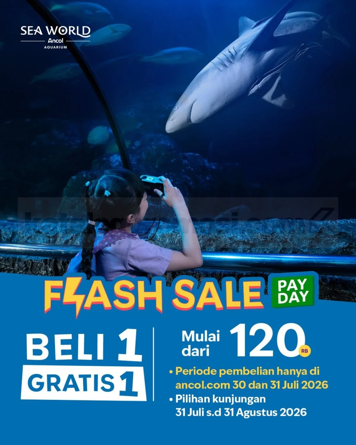 Promo Sea World Ancol: Beli 1 Gratis 1 untuk Liburan Hemat!