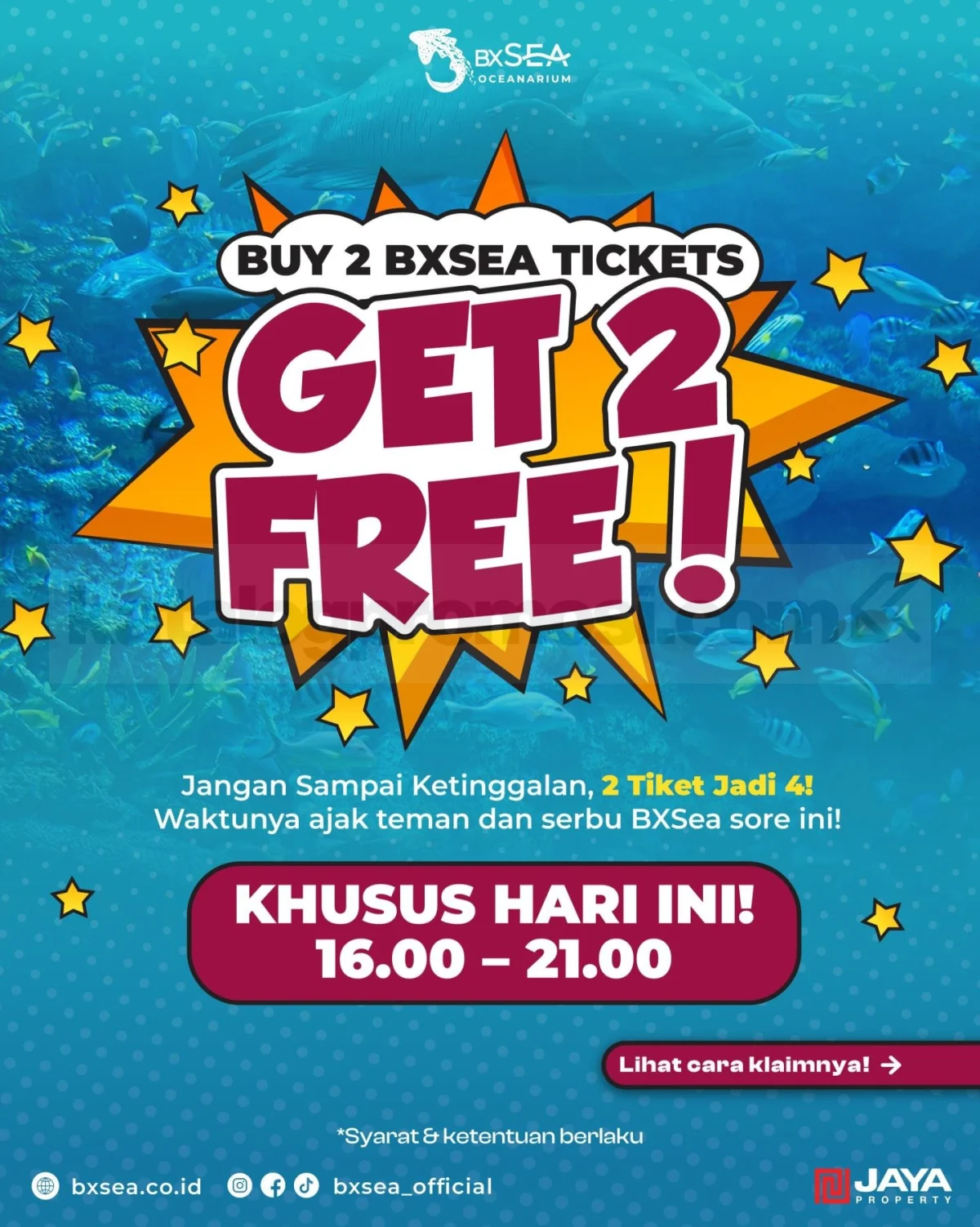 BXSea: Beli 2 Gratis 2 Tiket Spesial 8 Sep 2026!