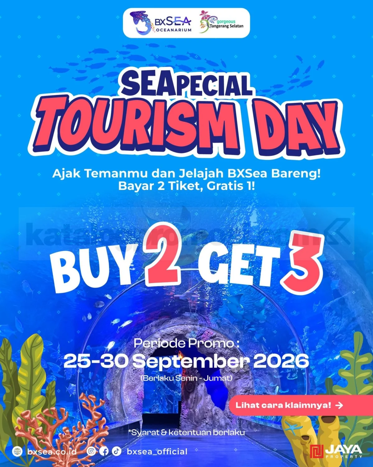 BXSea: Beli 2 Tiket, Gratis 1 di Hari Pariwisata Spesial!
